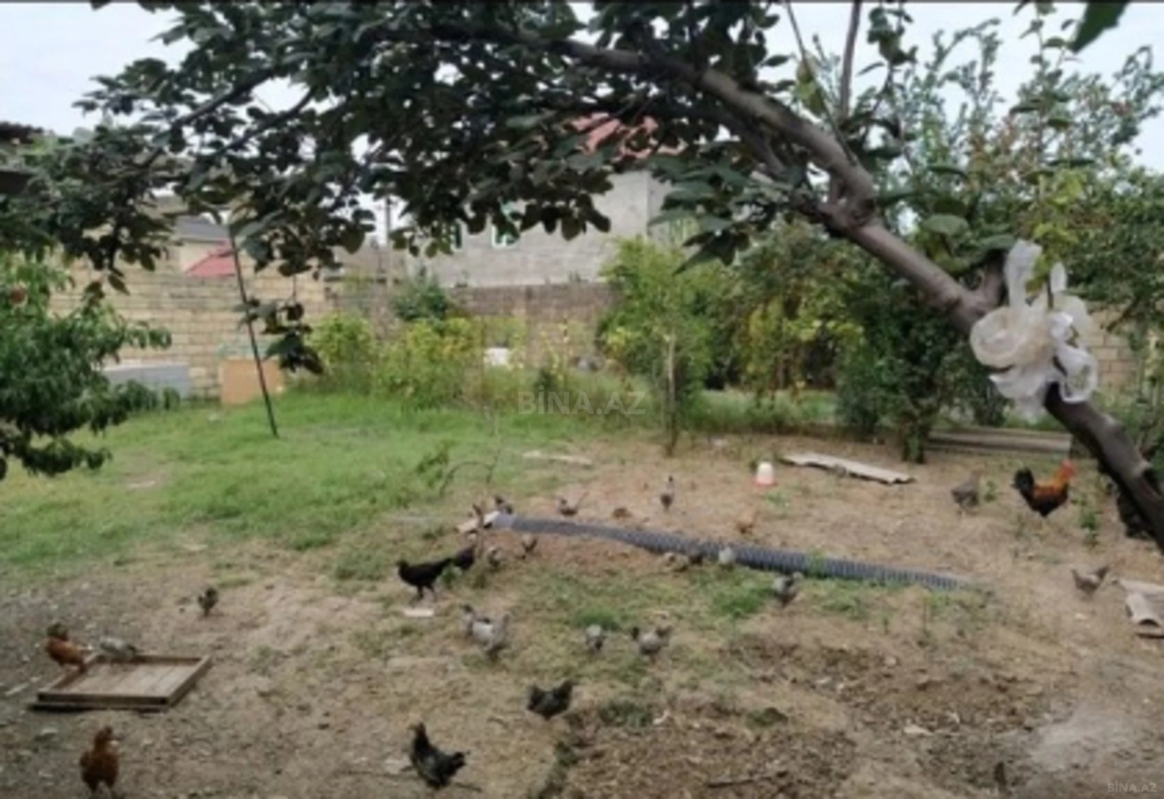 Satılır torpaq sahəsi 3 m²