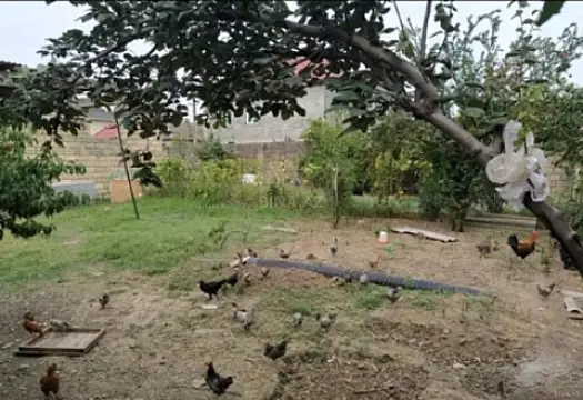 Satılır torpaq sahəsi 3 m²