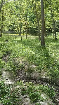 Satılır torpaq sahəsi 12 m²