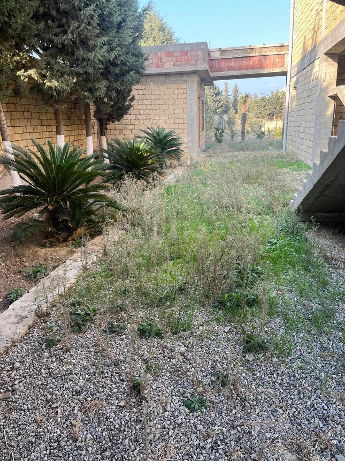 Satılır obyekt 1250 m²