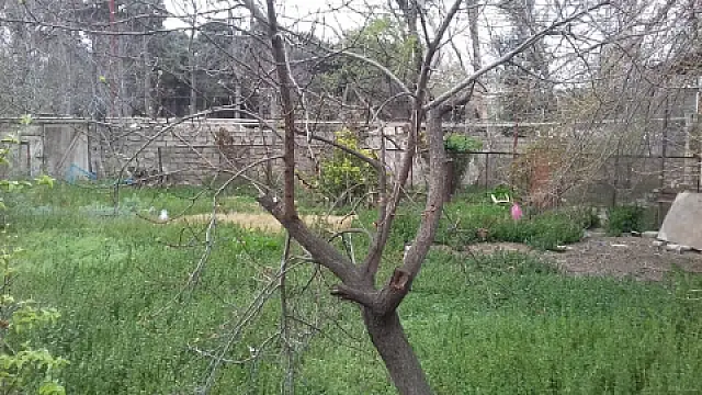 Satılır torpaq sahəsi 12 m²