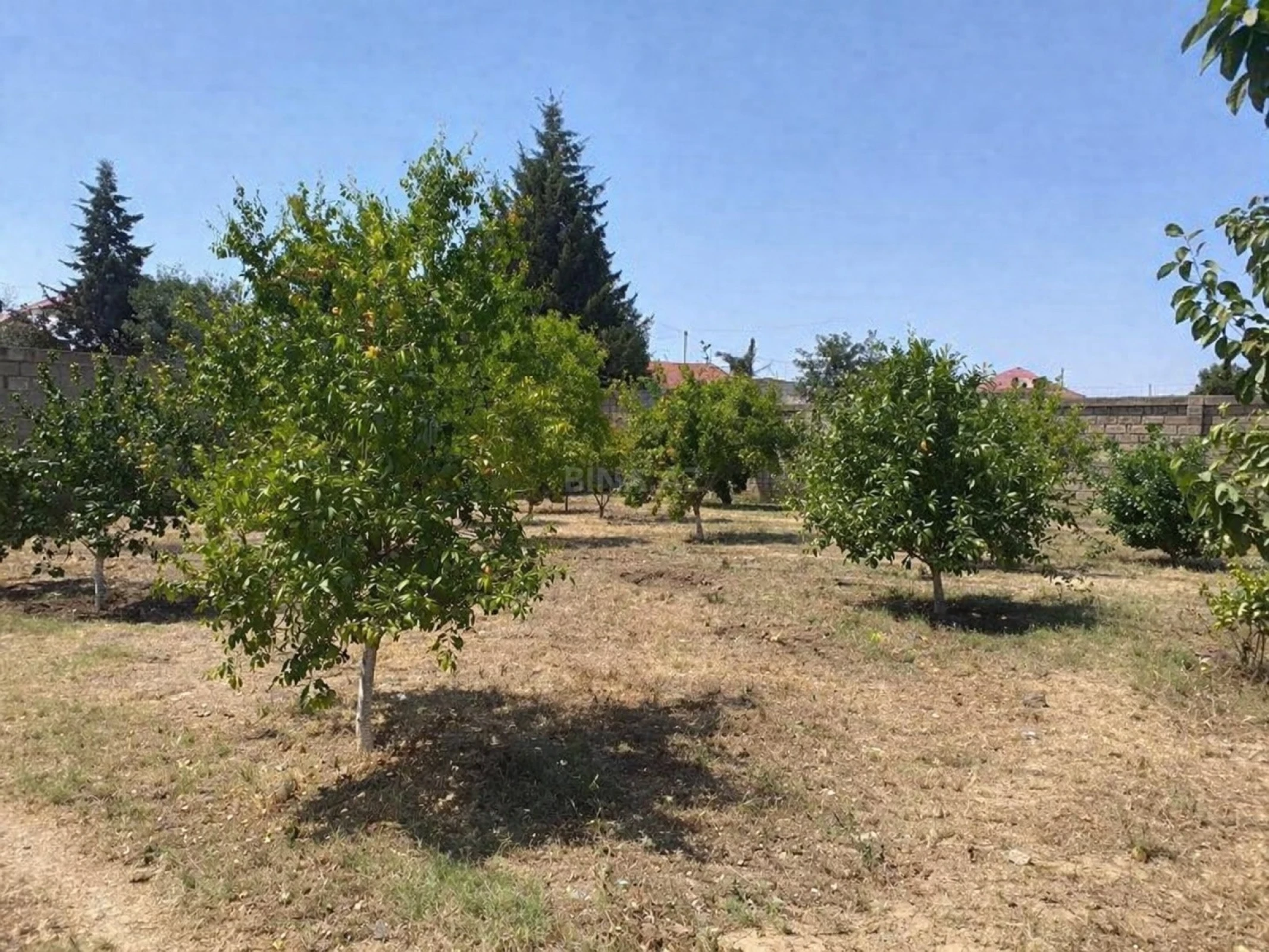 Satılır torpaq sahəsi 26 m²