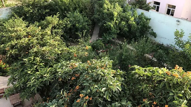 Satılır 10 otaqlı həyət evi 425 m²