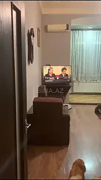 Kirayə verilir 1 otaqlı mənzil 35 m²