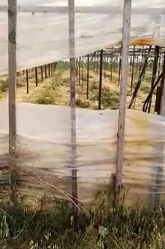 Satılır torpaq sahəsi 700 m²