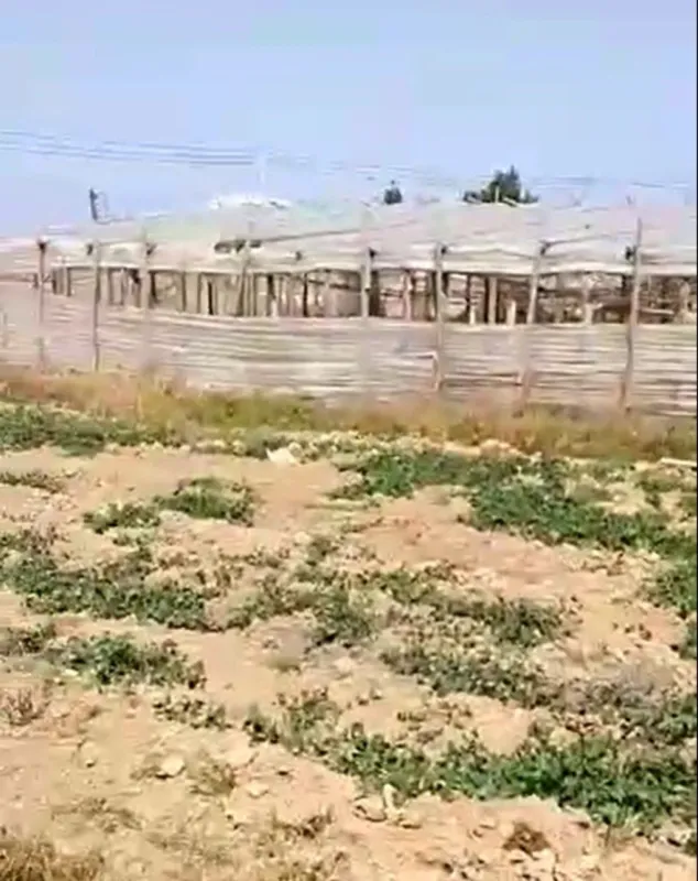 Satılır torpaq sahəsi 700 m²