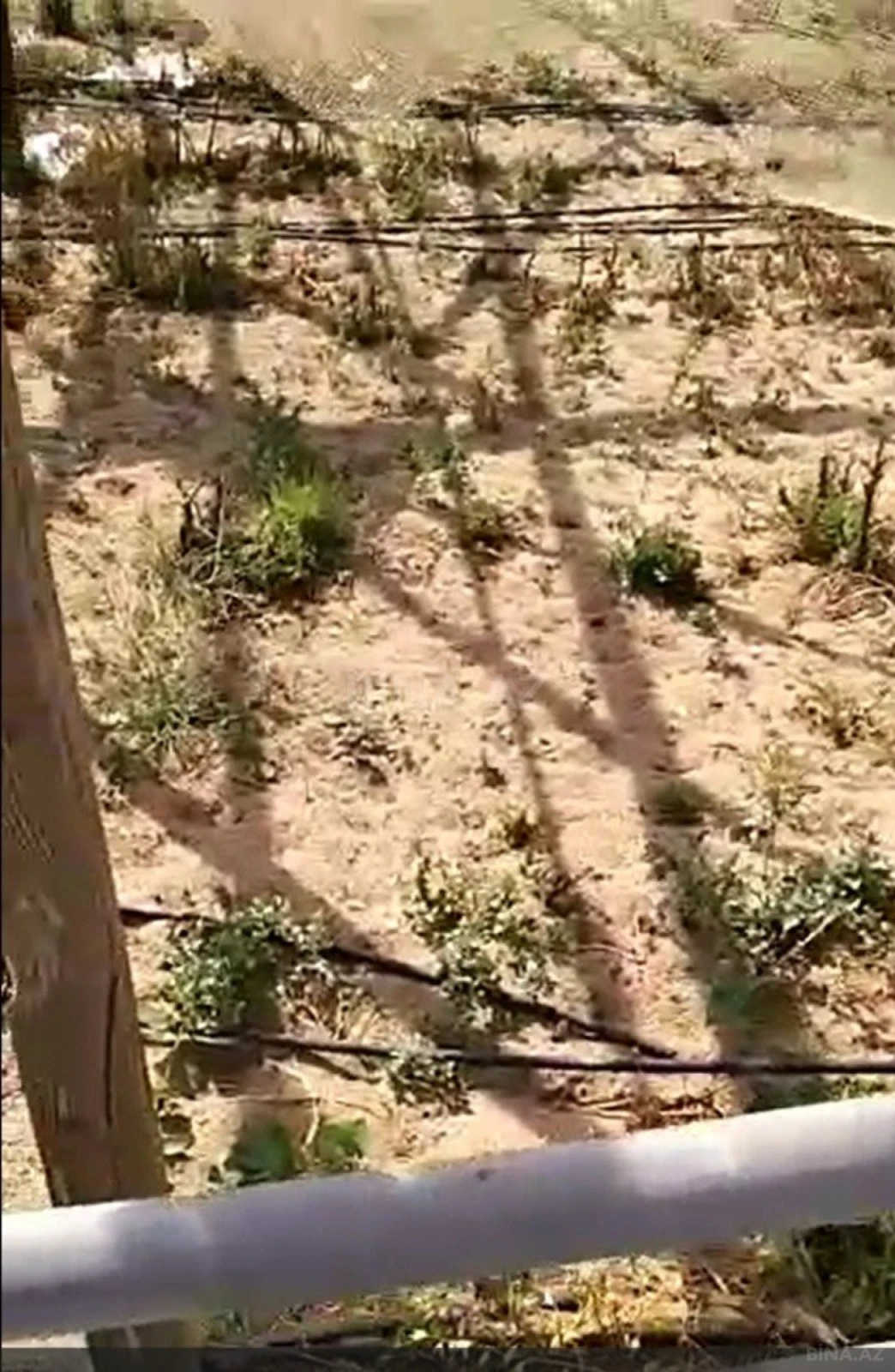 Satılır torpaq sahəsi 700 m²