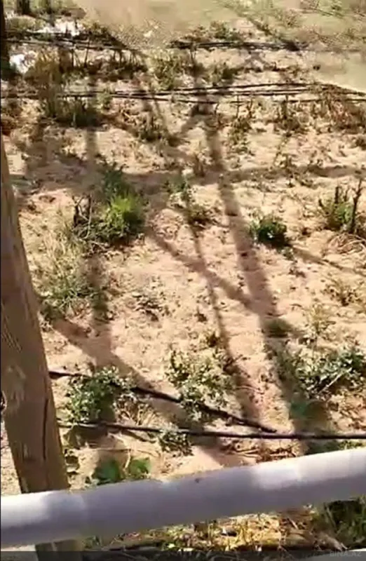 Satılır torpaq sahəsi 700 m²