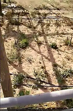 Satılır torpaq sahəsi 700 m²