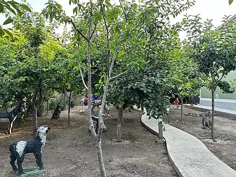 Satılır 5 otaqlı həyət evi 200 m²