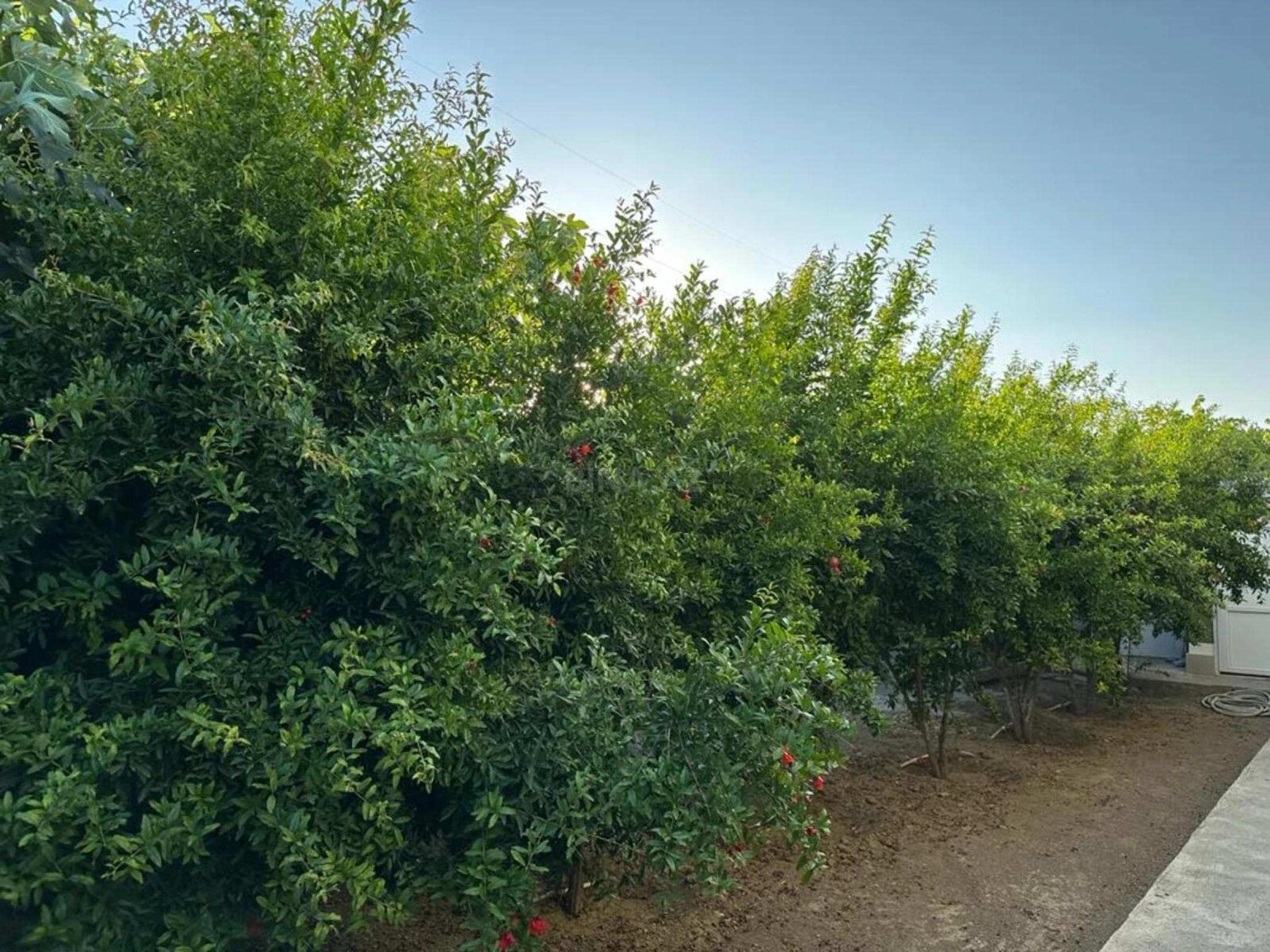 Satılır 5 otaqlı həyət evi 200 m²