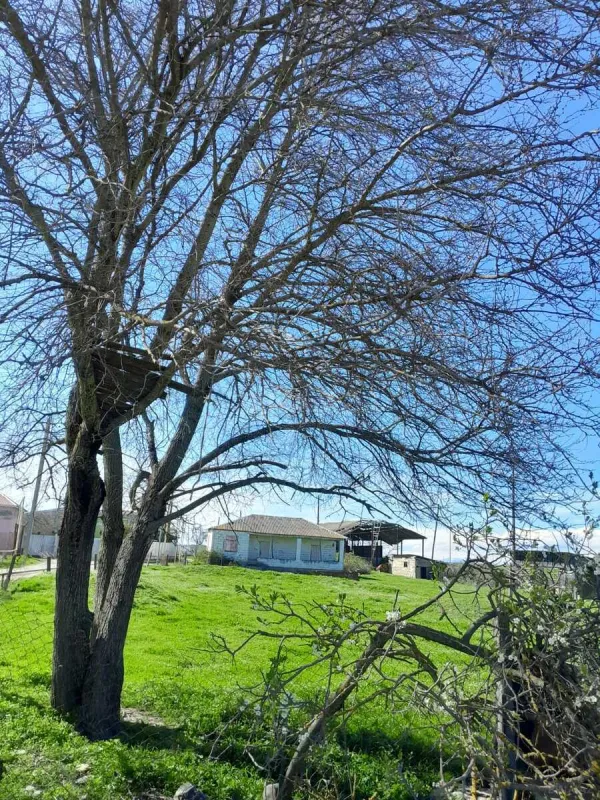 Satılır 4 otaqlı həyət evi 100 m²