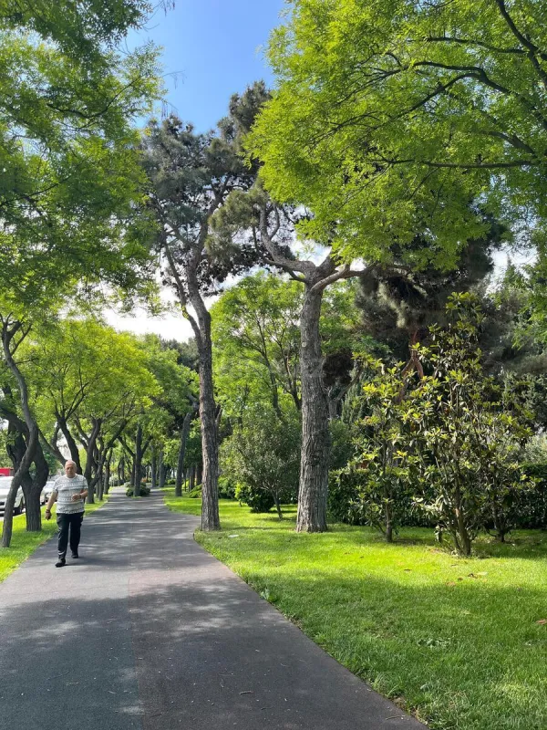 Satılır 3 otaqlı mənzil 73 m²