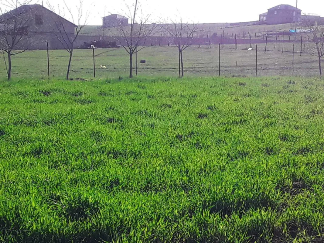 Satılır torpaq sahəsi 12 m²