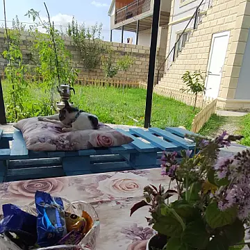 Kirayə verilir 3 otaqlı həyət evi 65 m²