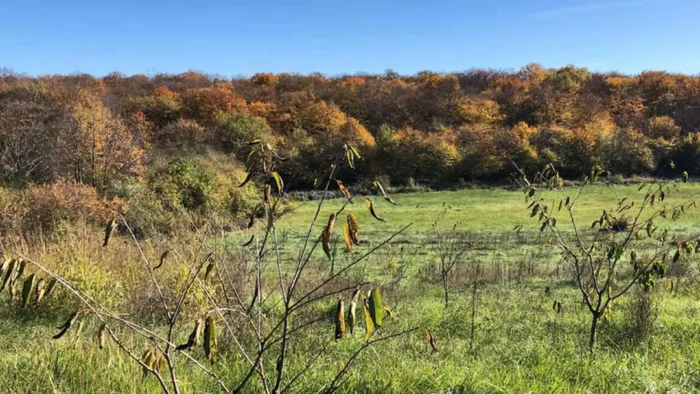 Satılır torpaq sahəsi 126 m²