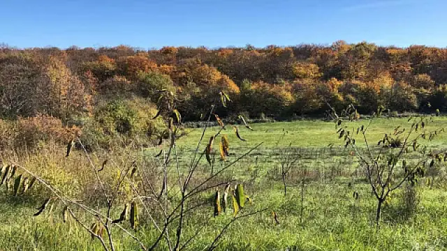 Satılır torpaq sahəsi 126 m²