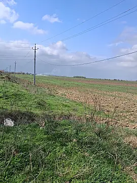 Satılır torpaq sahəsi 6000 m² — Beyləqan 6000.00 m²