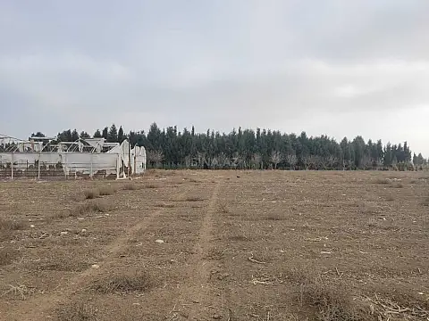 Satılır torpaq sahəsi 34 m²