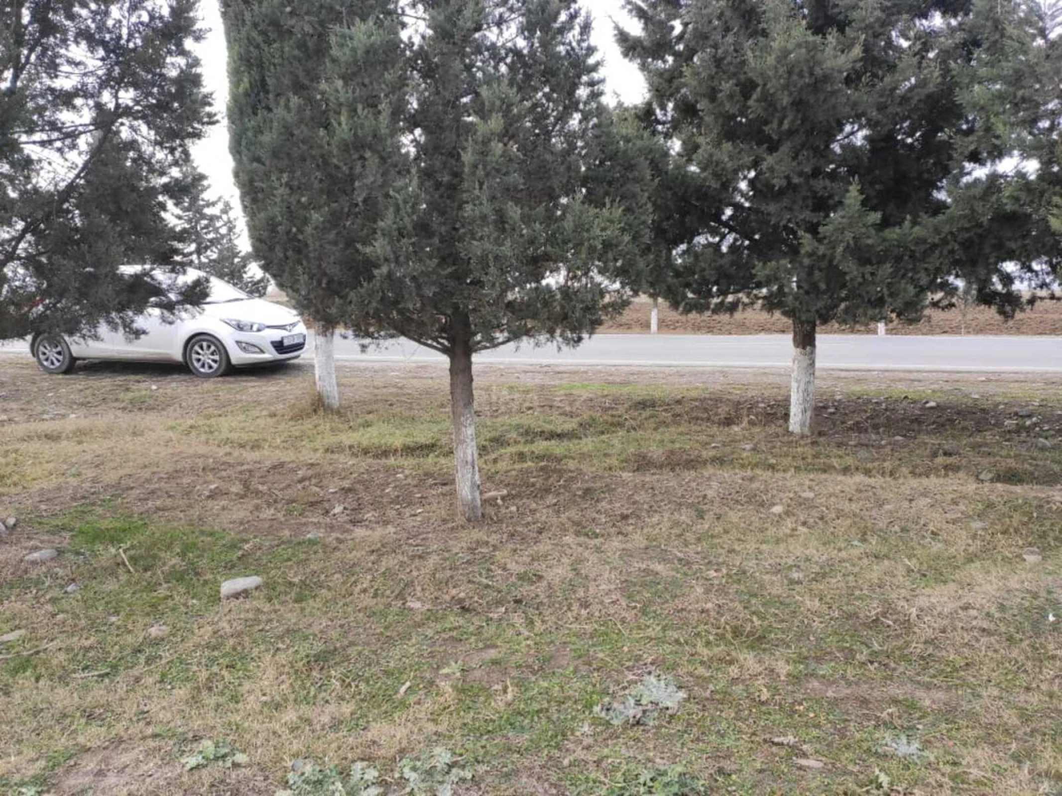 Satılır torpaq sahəsi 34 m²