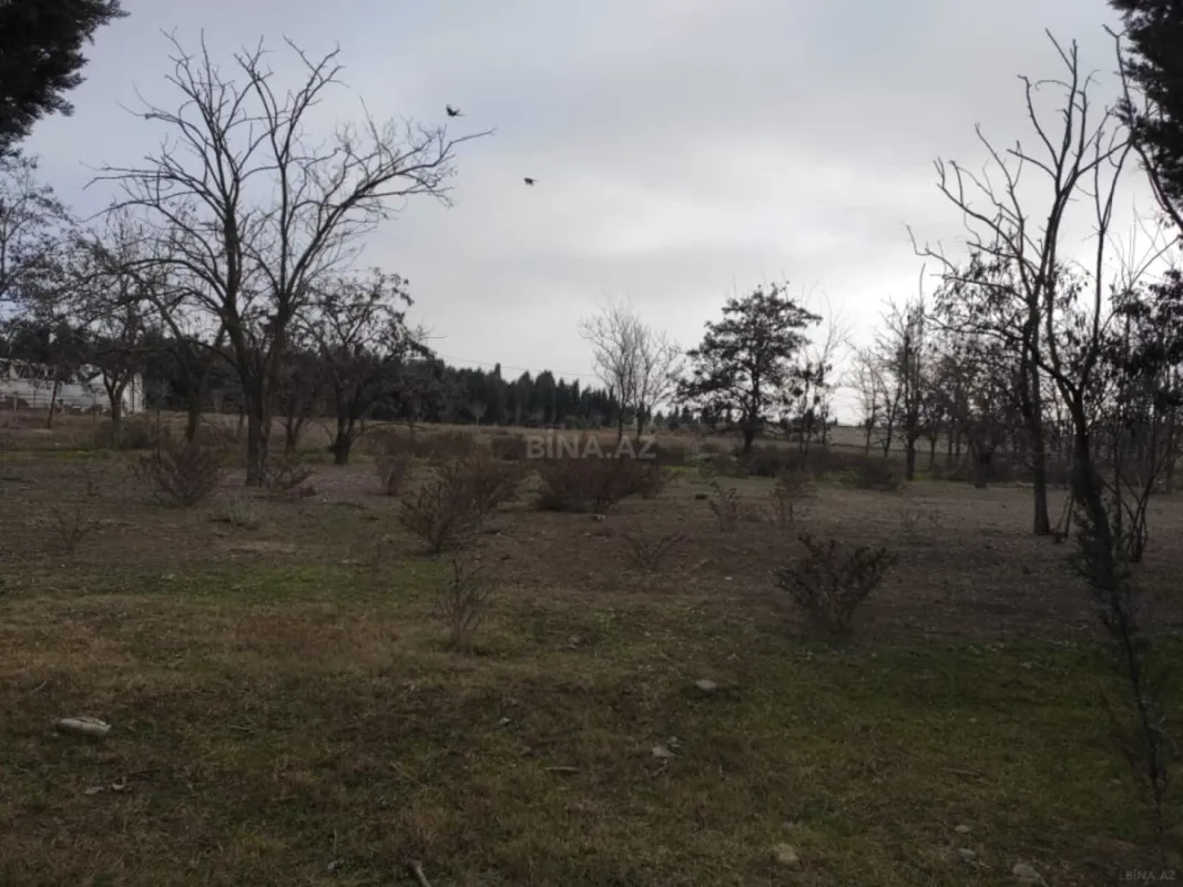 Satılır torpaq sahəsi 34 m²