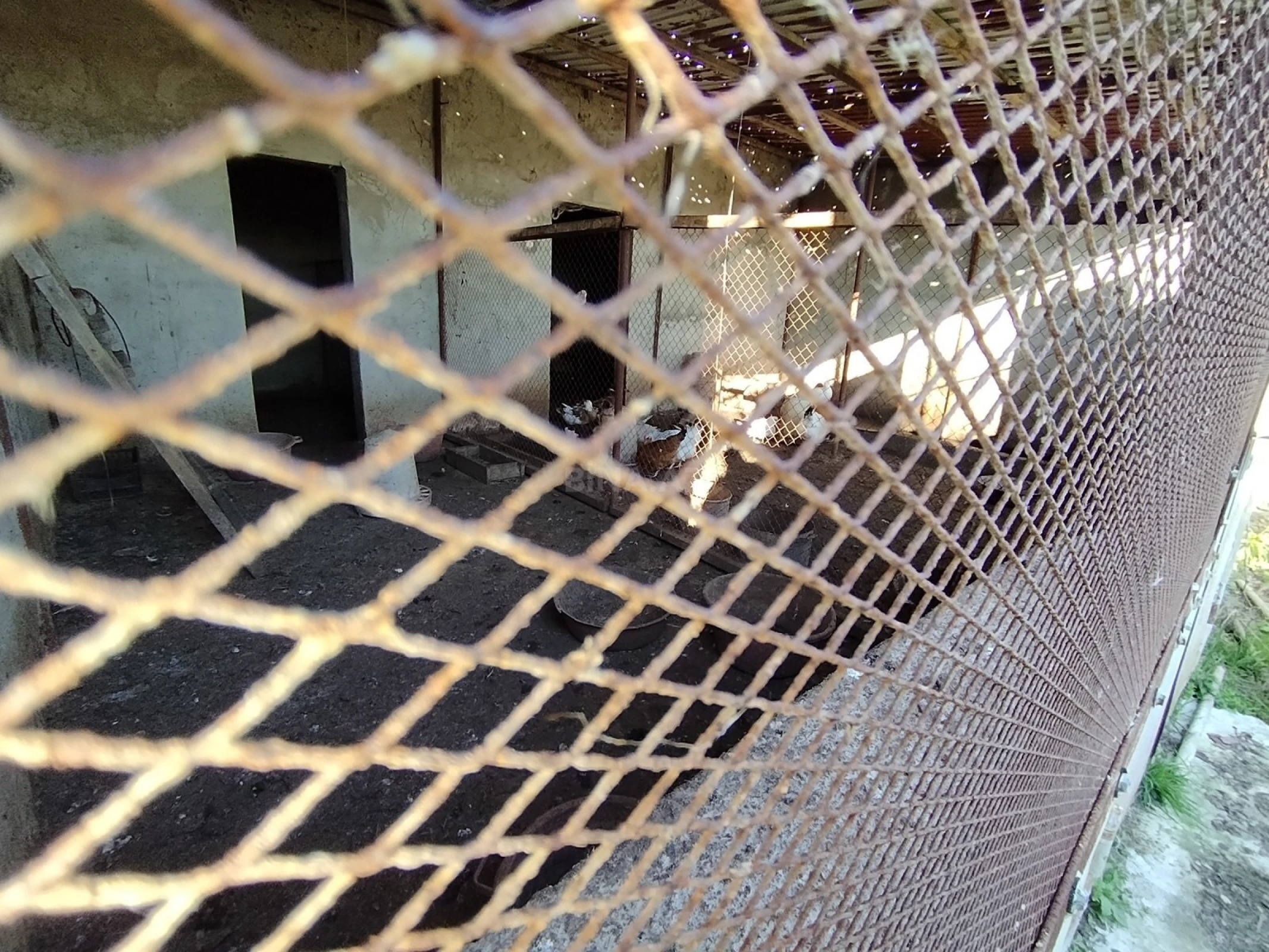 Satılır 5 otaqlı həyət evi 180 m²