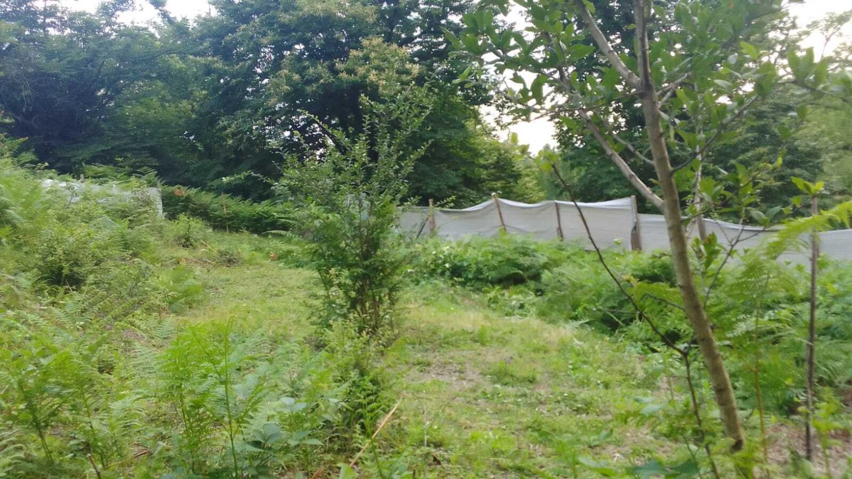 Satılır torpaq sahəsi 11 m²