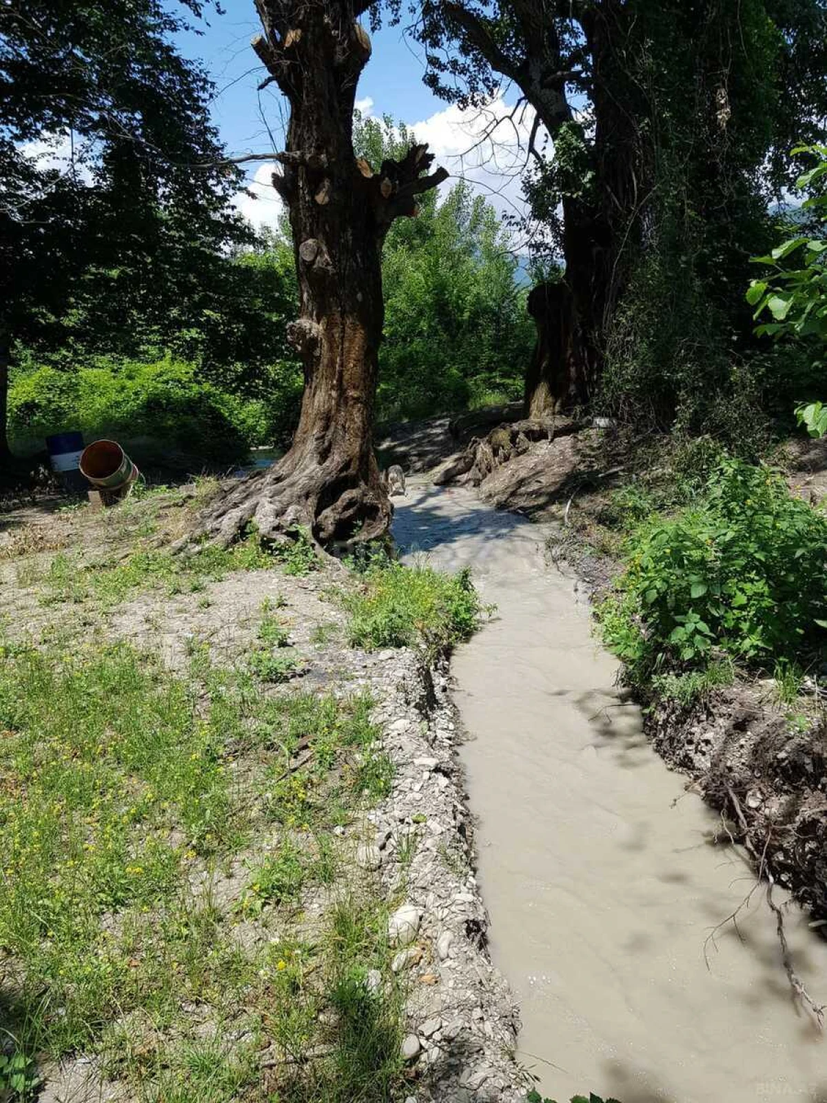 Satılır obyekt 5000 m²