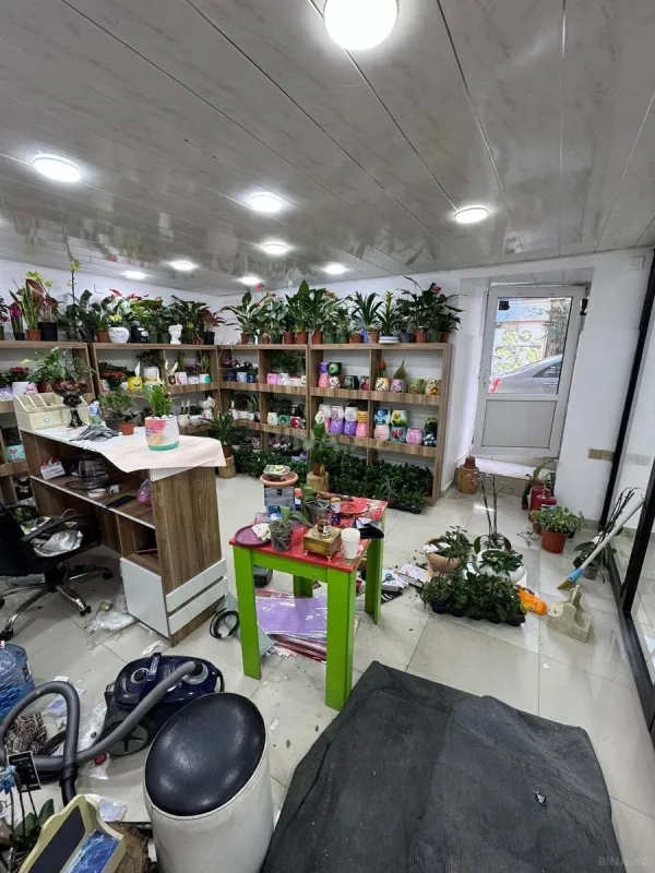 Satılır obyekt 85 m²