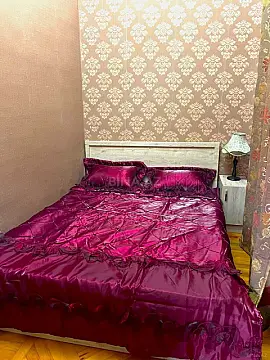 Kirayə verilir 2 otaqlı mənzil 45 m²