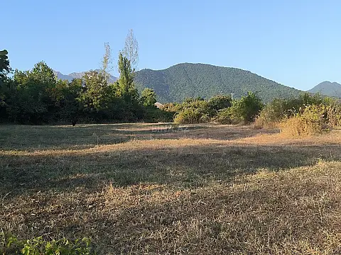 Satılır torpaq sahəsi 21 m² — Qəbələ 21.00 m²