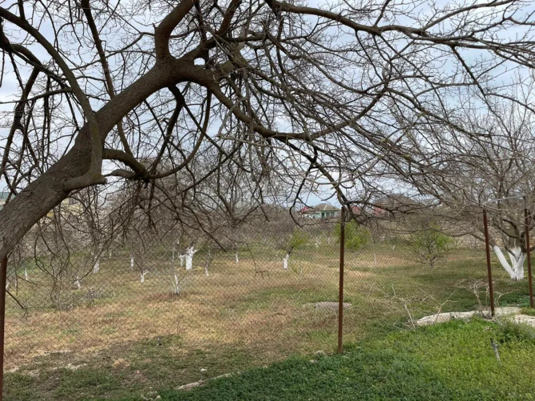 Satılır torpaq sahəsi 100 m²