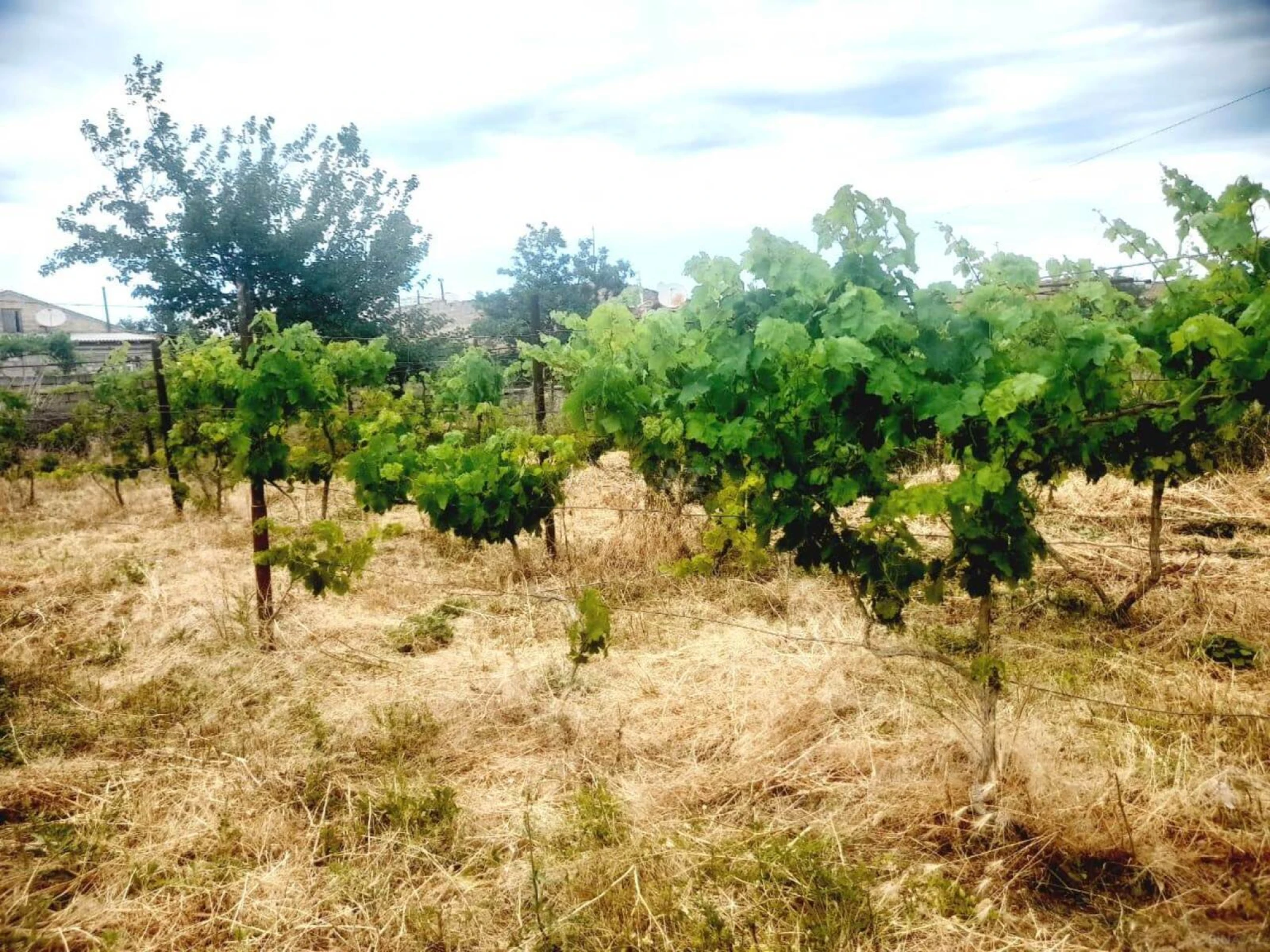 Satılır torpaq sahəsi 5.5 m²