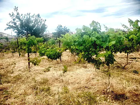 Satılır torpaq sahəsi 5.5 m²