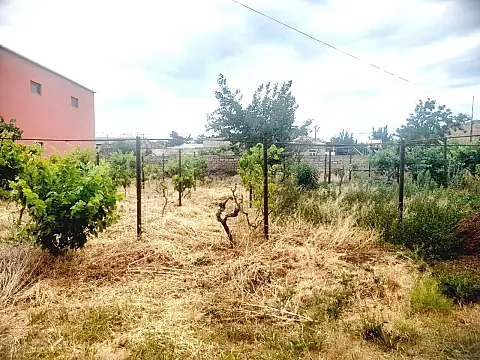 Satılır torpaq sahəsi 5.5 m² — Bakı, Buzovna 5.50 m²