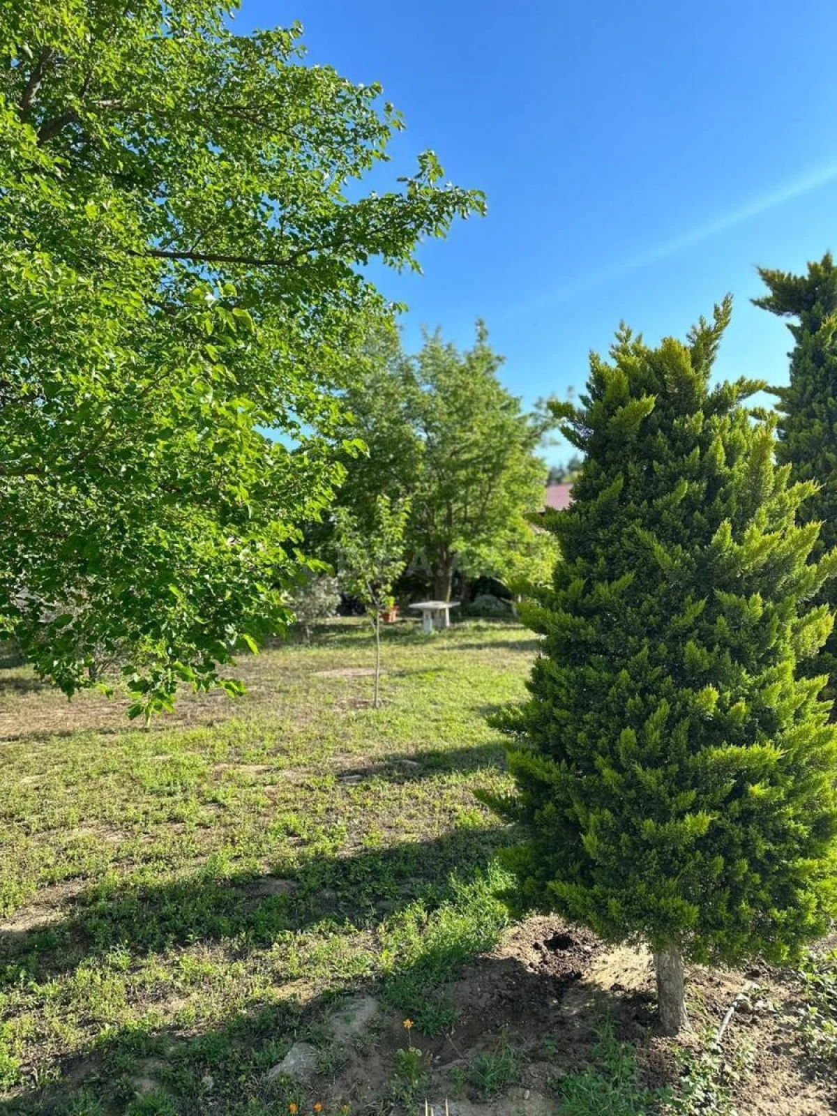 Kirayə verilir 6 otaqlı həyət evi 400 m²