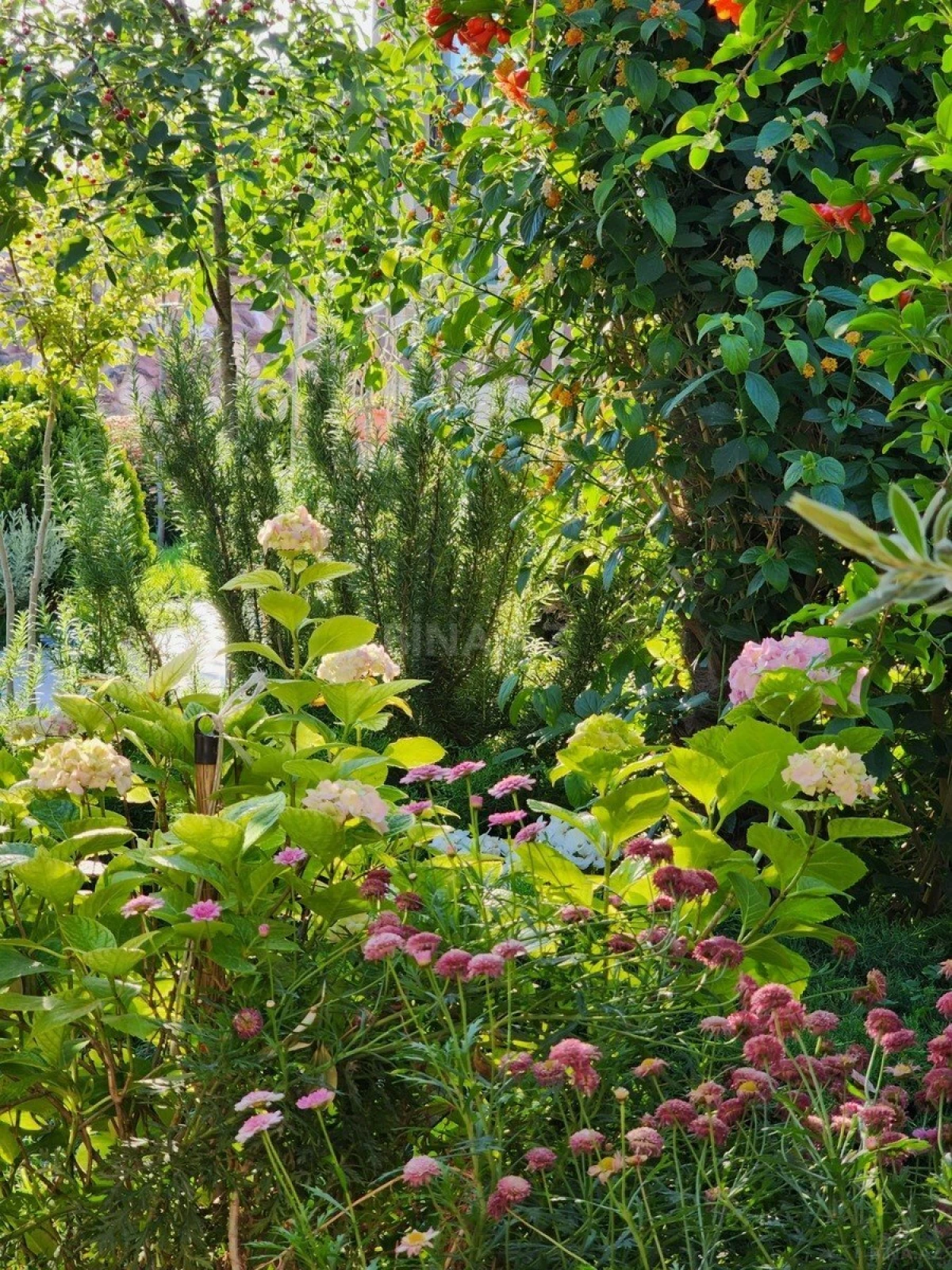 Kirayə verilir 5 otaqlı həyət evi 400 m²