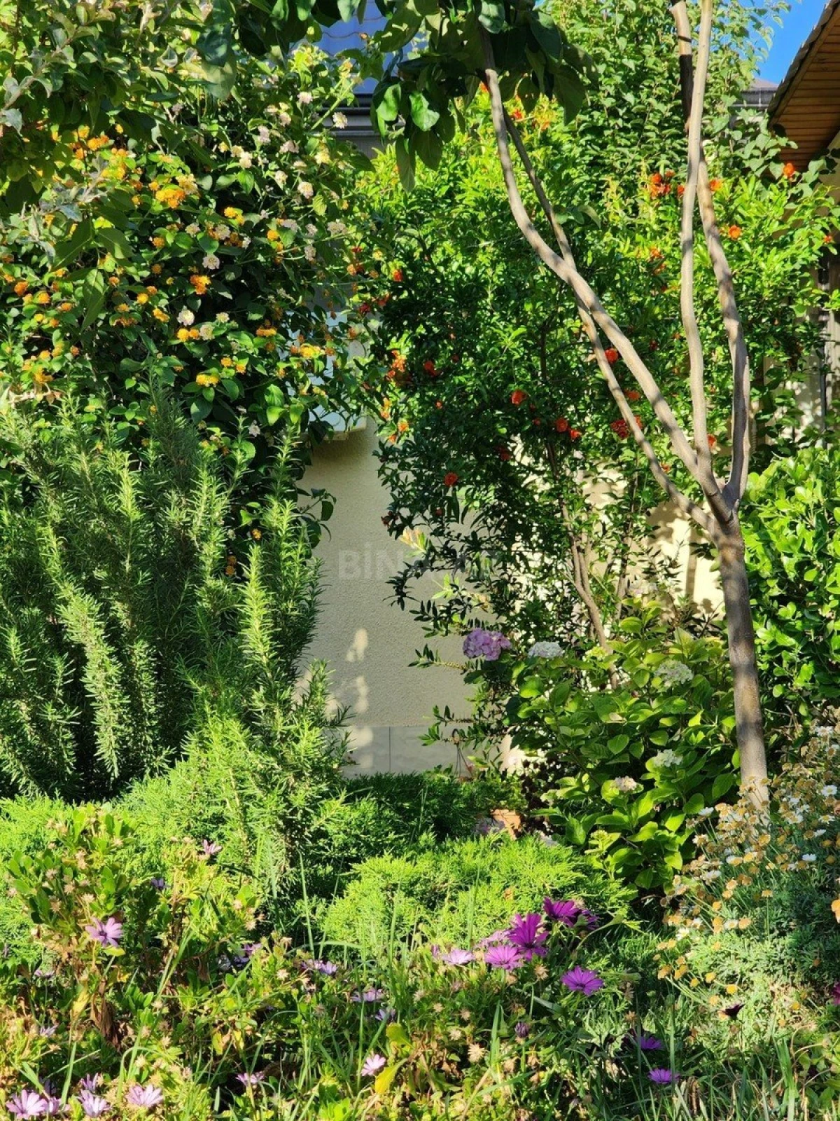 Kirayə verilir 5 otaqlı həyət evi 400 m²