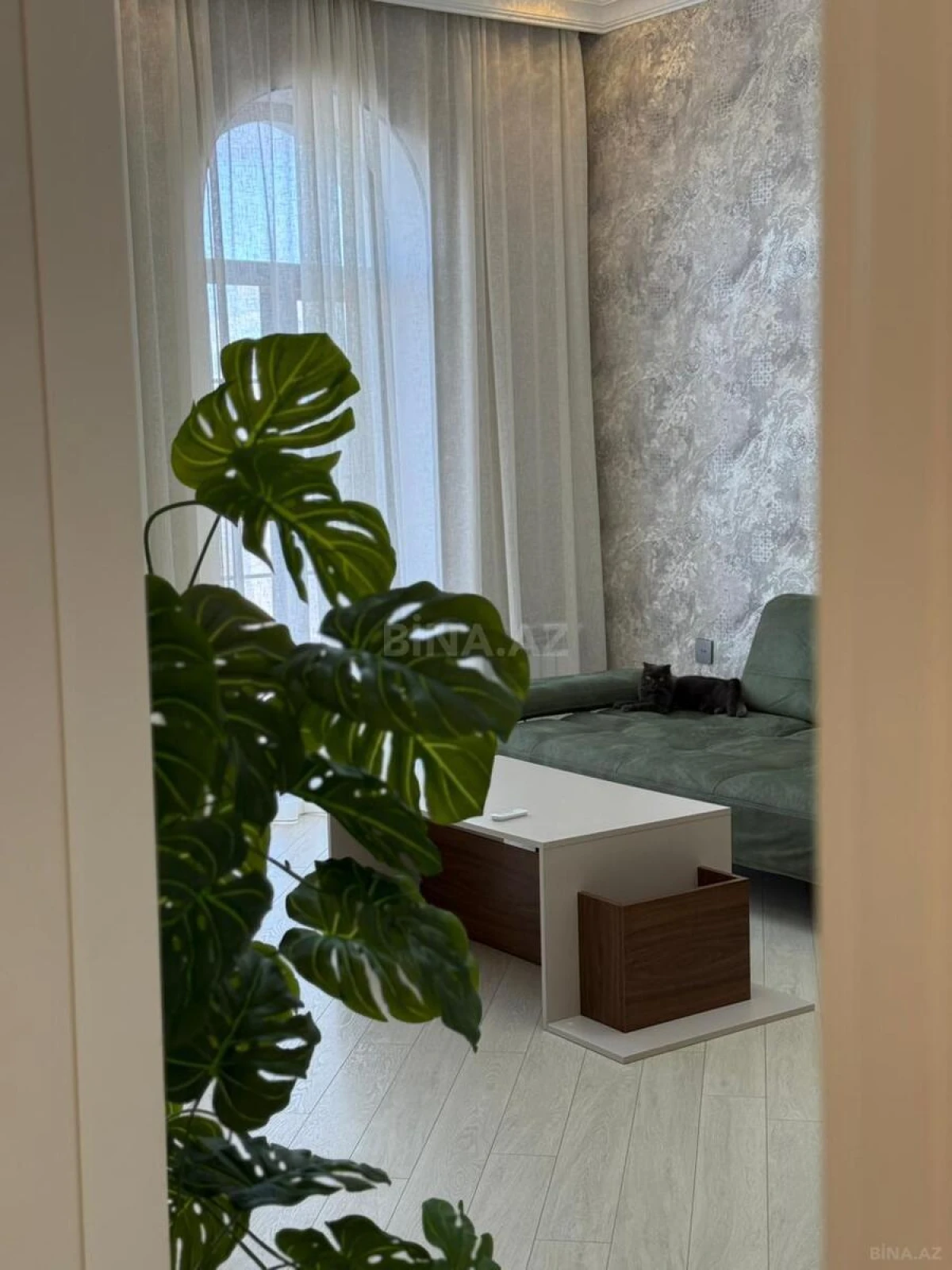 Kirayə verilir 4 otaqlı həyət evi 260 m²