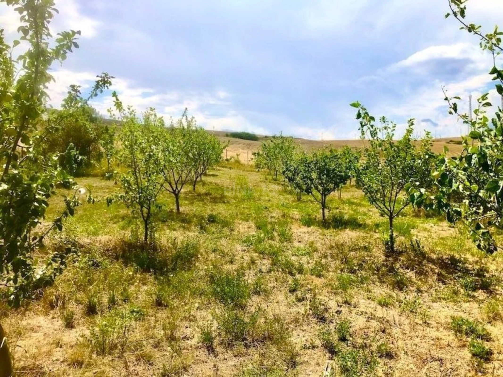 Satılır 4 otaqlı həyət evi 160 m²