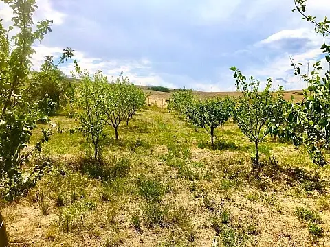 Satılır 4 otaqlı həyət evi 160 m²