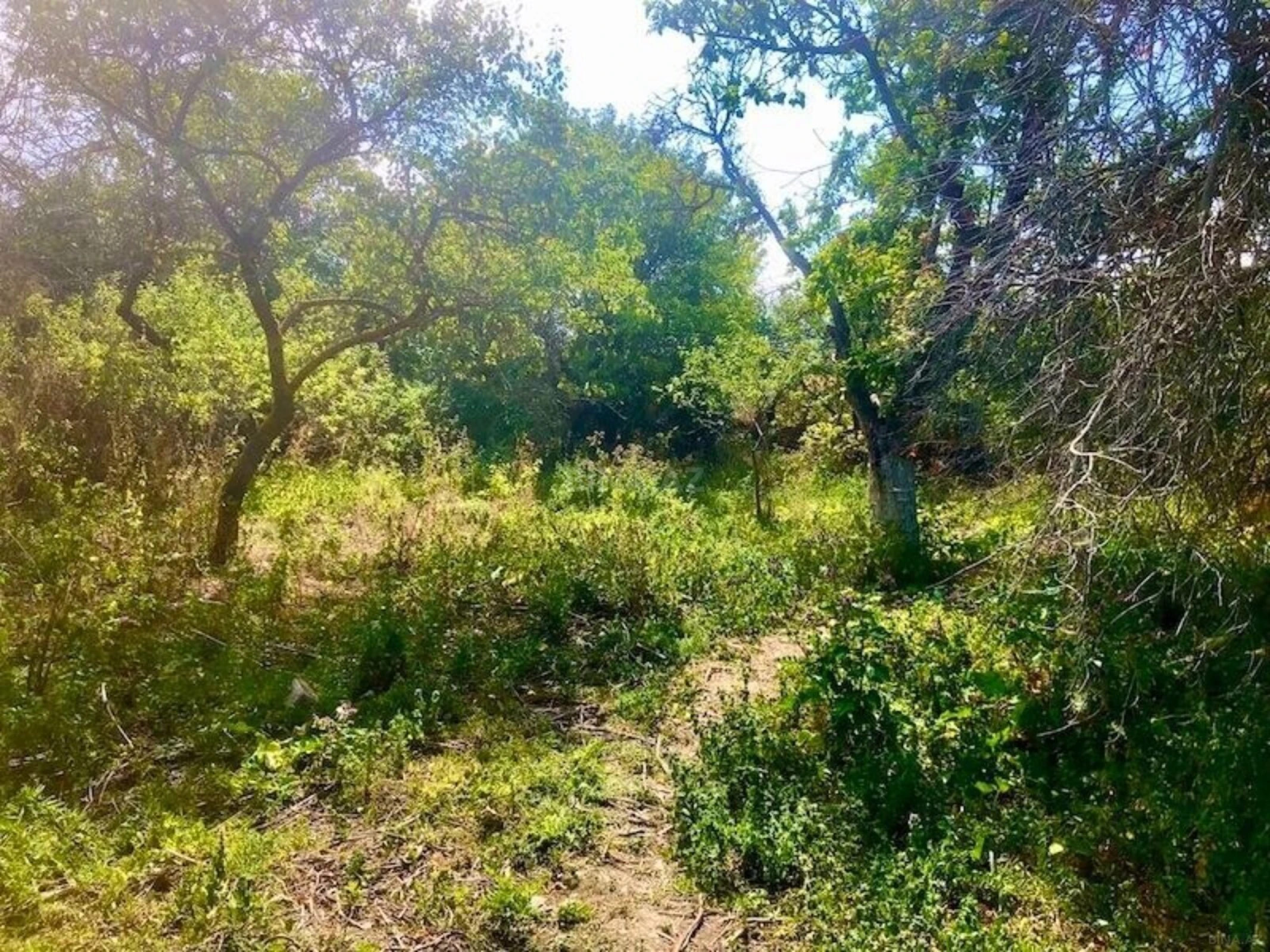 Satılır 4 otaqlı həyət evi 160 m²