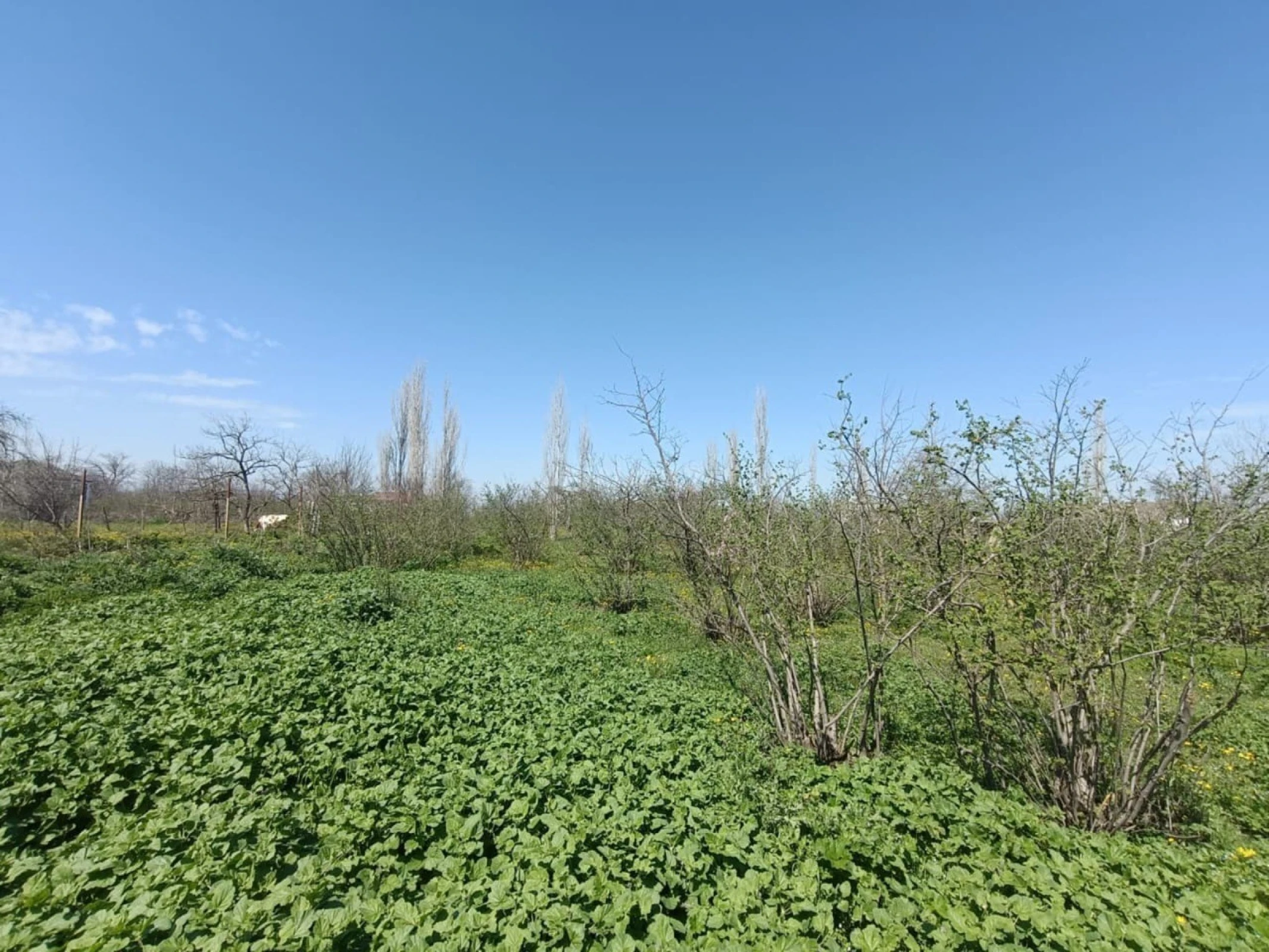 Satılır torpaq sahəsi 18.5 m²