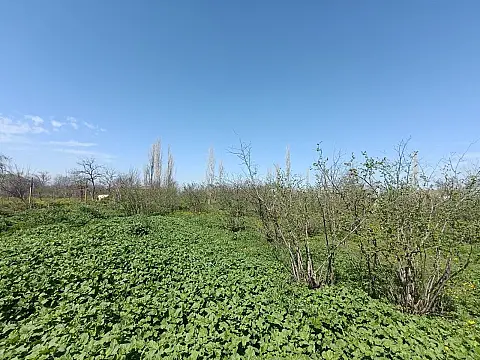 Satılır torpaq sahəsi 18.5 m² — Xaçmaz 18.50 m²