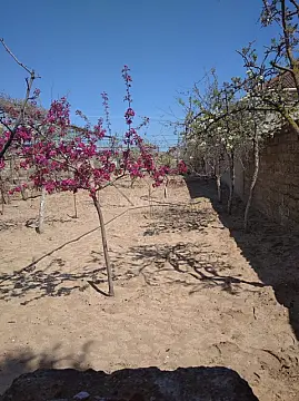 Satılır torpaq sahəsi 4 m²