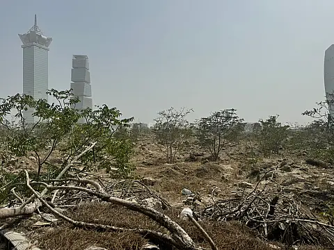 Satılır torpaq sahəsi 290 m²