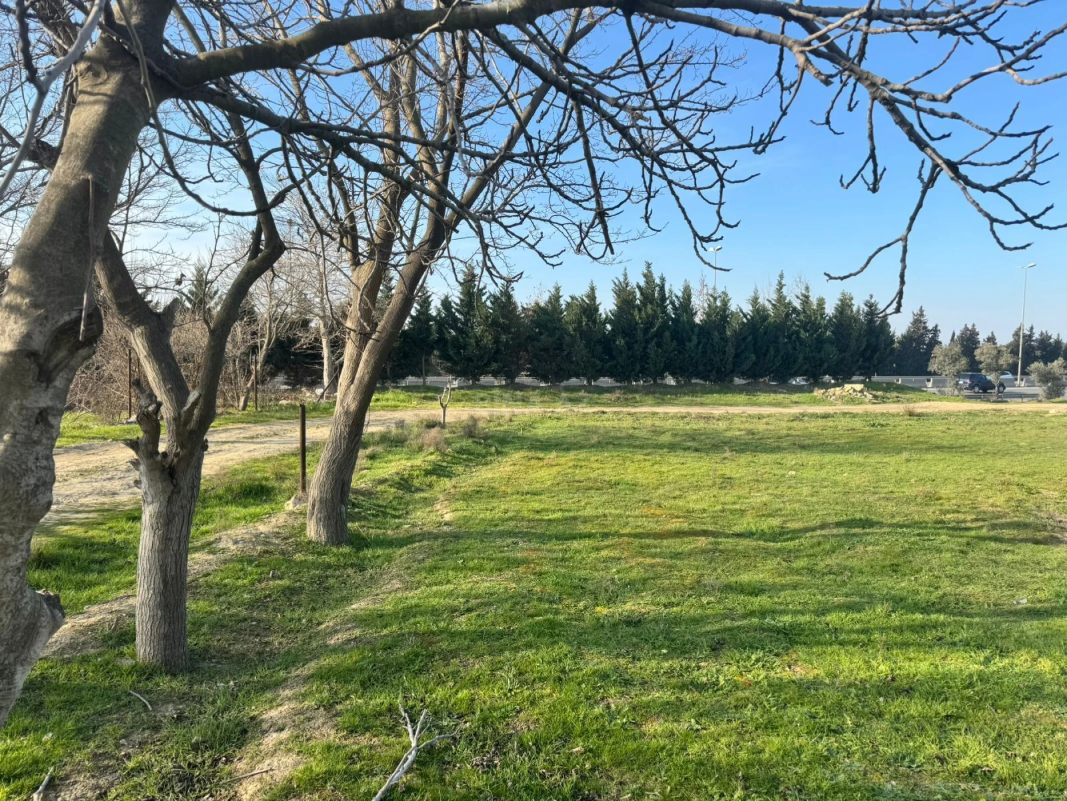 Satılır torpaq sahəsi 100 m²