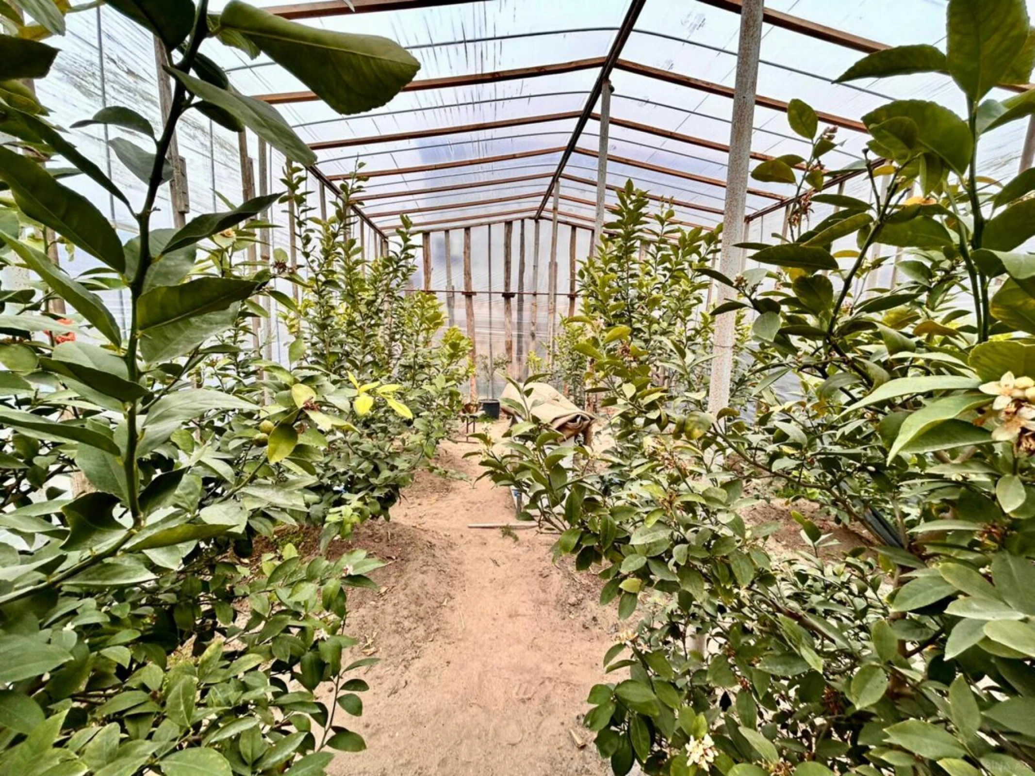 Satılır 5 otaqlı həyət evi 200 m²