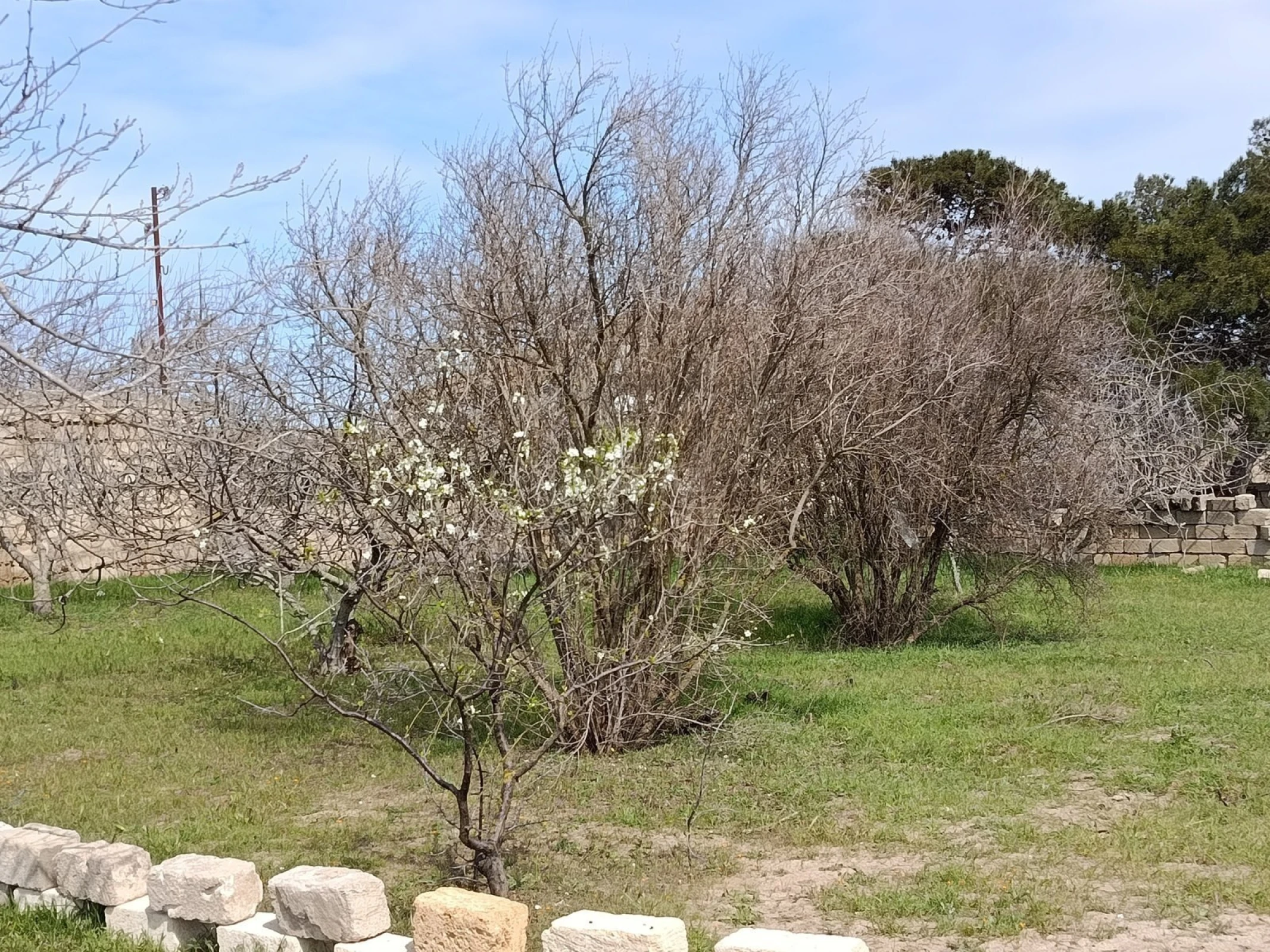 Satılır torpaq sahəsi 8 m²