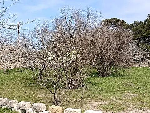 Satılır torpaq sahəsi 8 m²